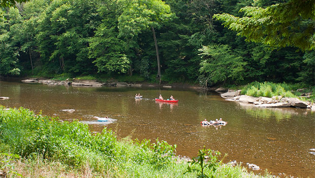 Cook Forest State Park