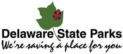 Logo for Delaware