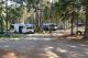 Sherwood Forest Campsite